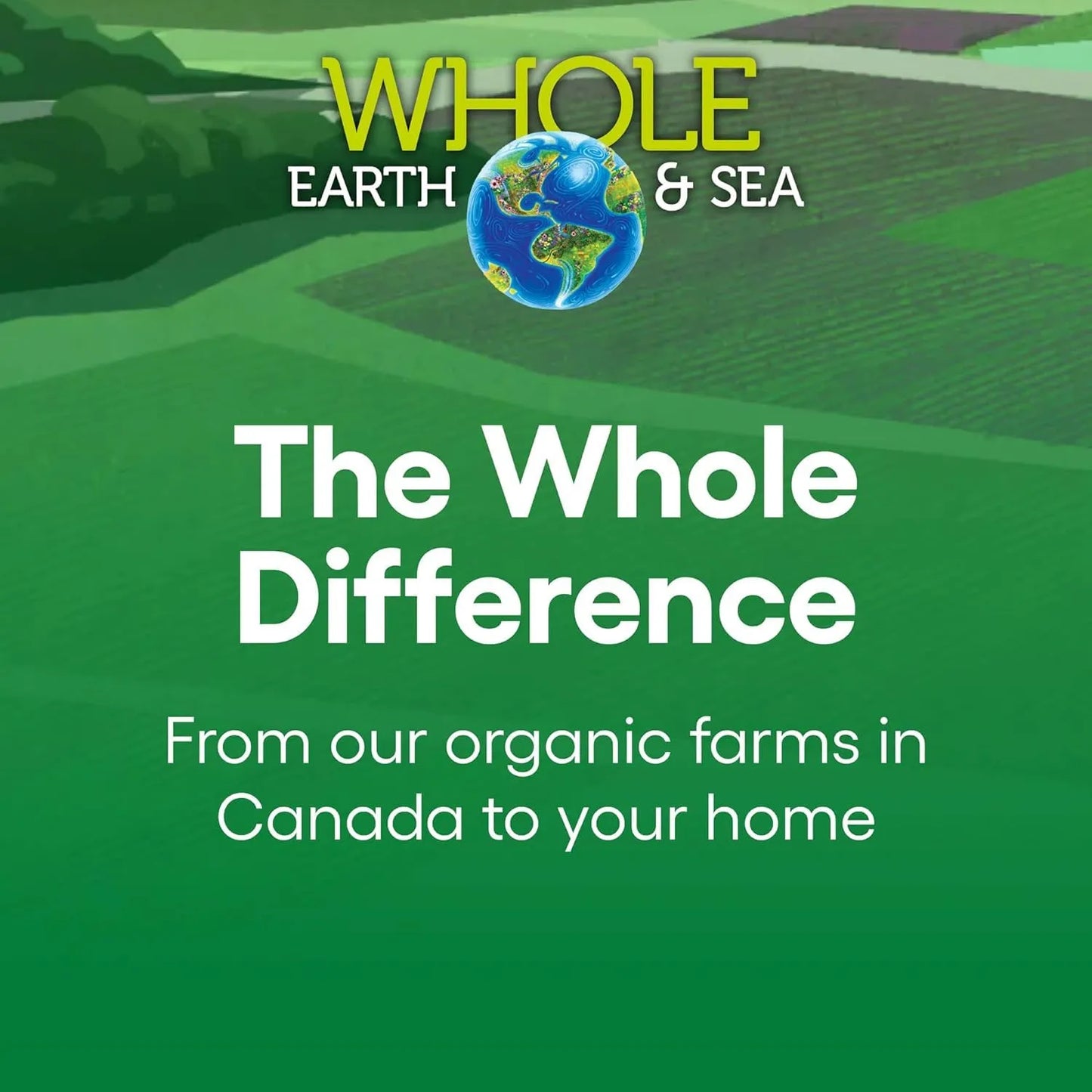 Multivitamínico Mineral Para Hombres Mayores De 50 Años Whole Earth & Sea 120 Tabletas