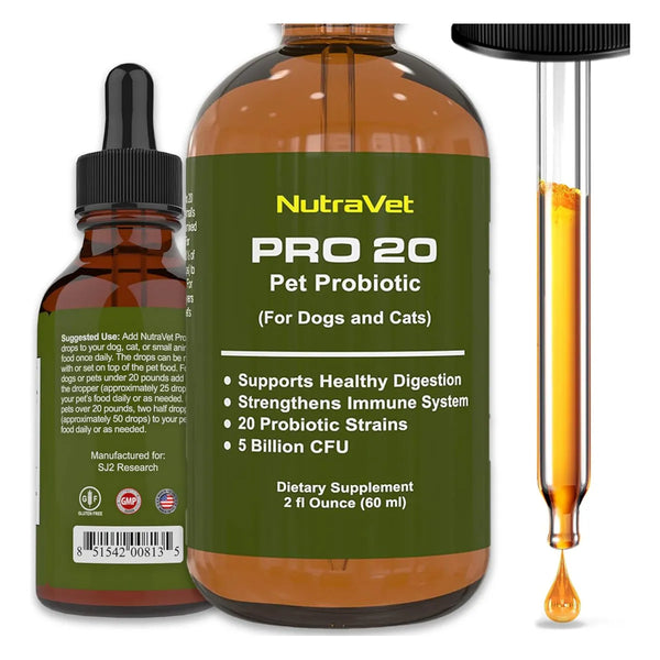 Probióticos Naturales Para Perros Y Gatos 120 Porciones Enzi Mejora Digestión Y Sistema Inmune