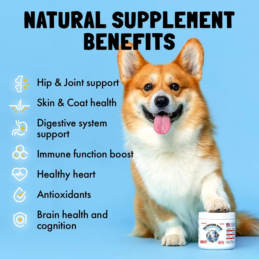 Vitaminas Masticables Para Perros Con Glucosamina Y Probióticos 120 Unidades