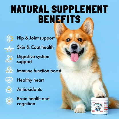 Vitaminas Masticables Para Perros Con Glucosamina Y Probióticos 120 Unidades