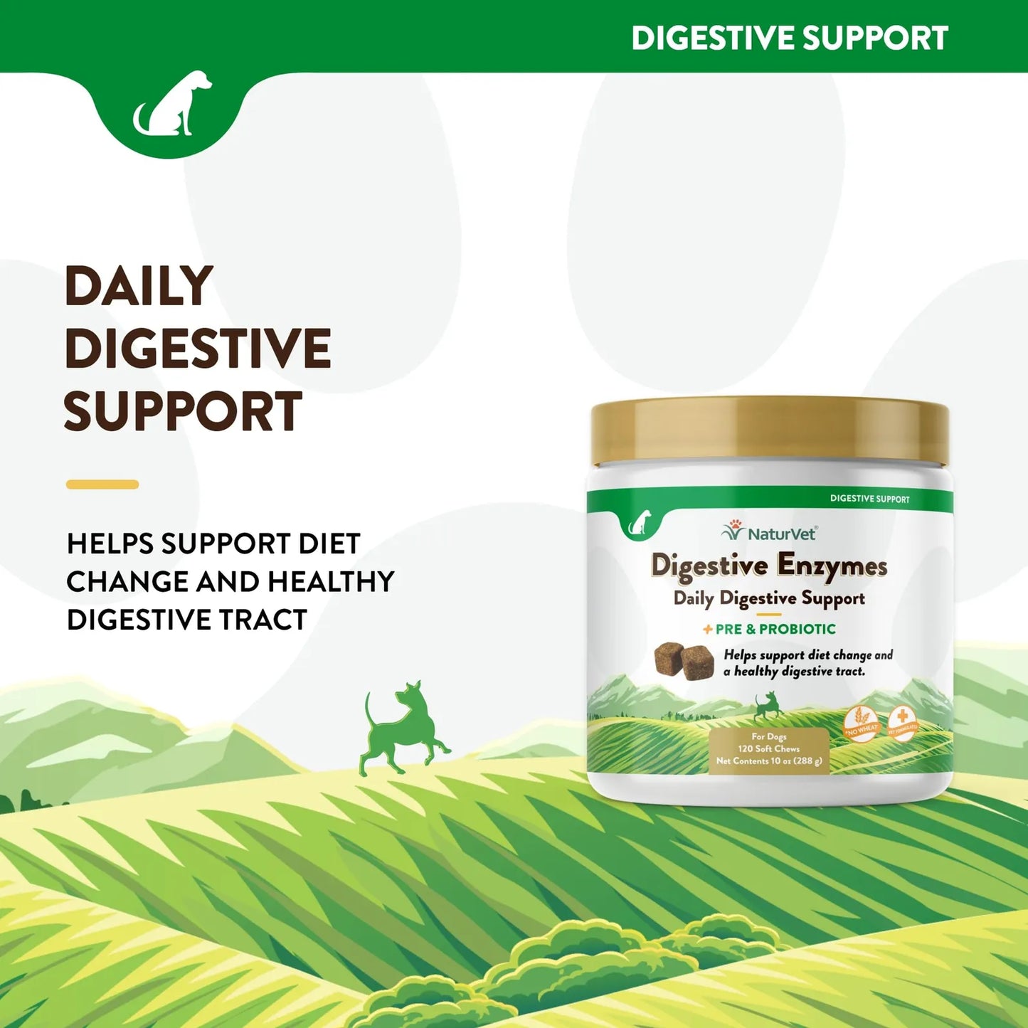 Probiótico Masticable Con Enzimas Digestivas Para Perros 90 Soft Chews Salud Digestiva