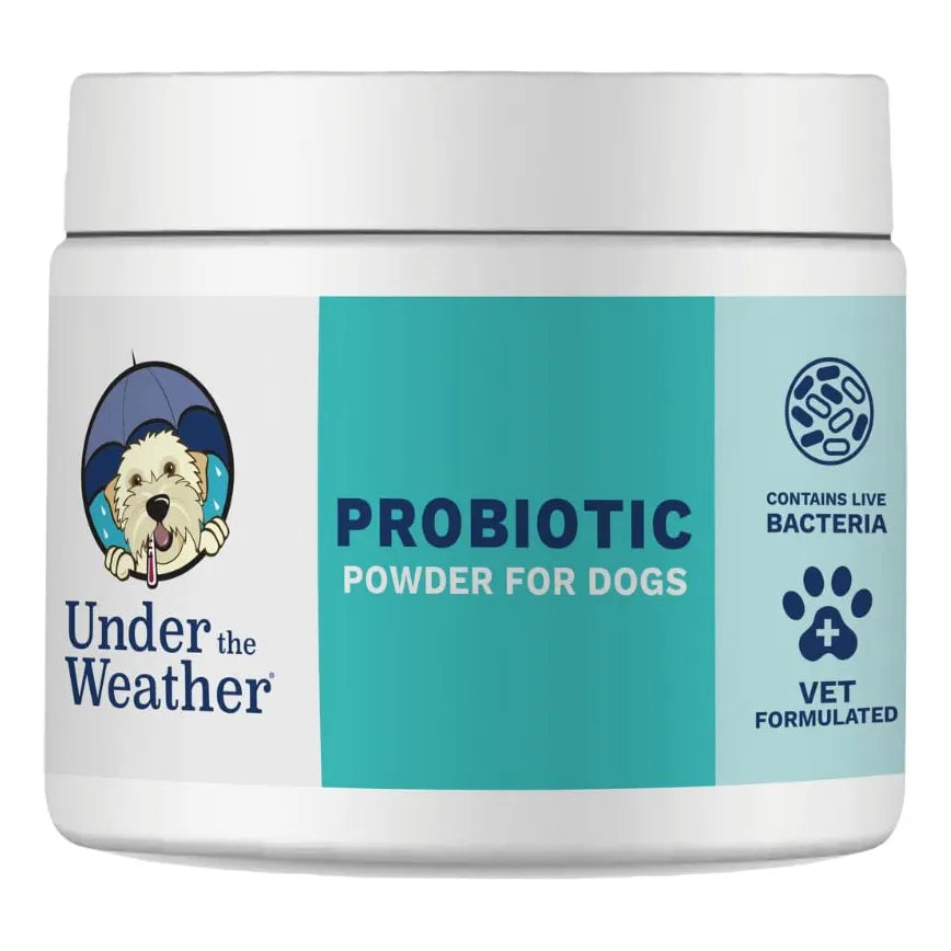 Polvo Probiótico Para Perros Formulado Por Veterinarios Digestión Saludable Y Sabor Pollo