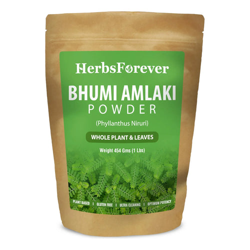 Polvo Orgánico De Amalaki Bhumy Con Chanca Piedra 454 Gramos Purifica Hígado Y Equilibra Energía