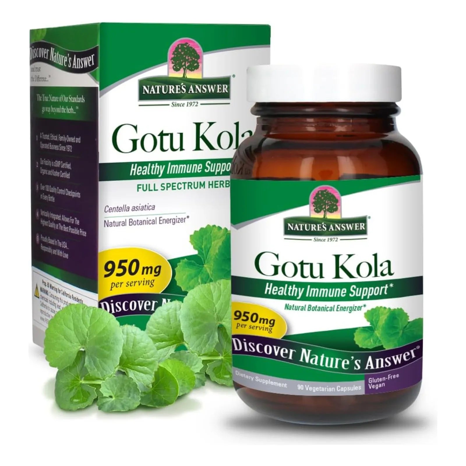 Cápsulas De Hierba Gotu Kola - Imagen 1