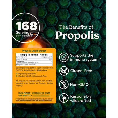 Extracto Líquido De Propóleos 120ml Refuerza Sistema Inmunológico Naturalmente
