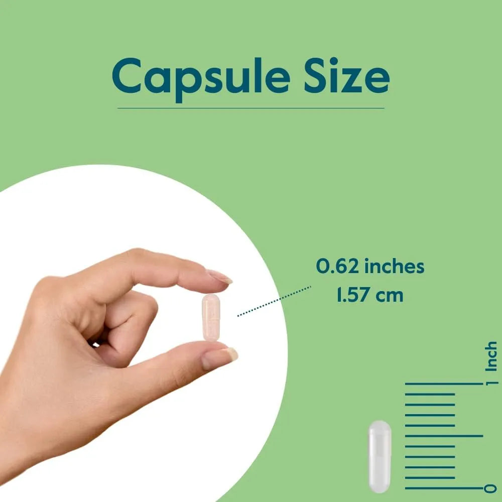 Picolinato De Cromo 1000mcg 480 Capsulas Vegano Sin Gluten Bestvite
