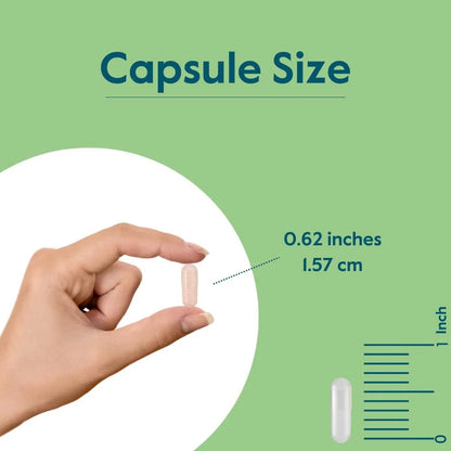 Picolinato De Cromo 1000mcg 480 Capsulas Vegano Sin Gluten Bestvite