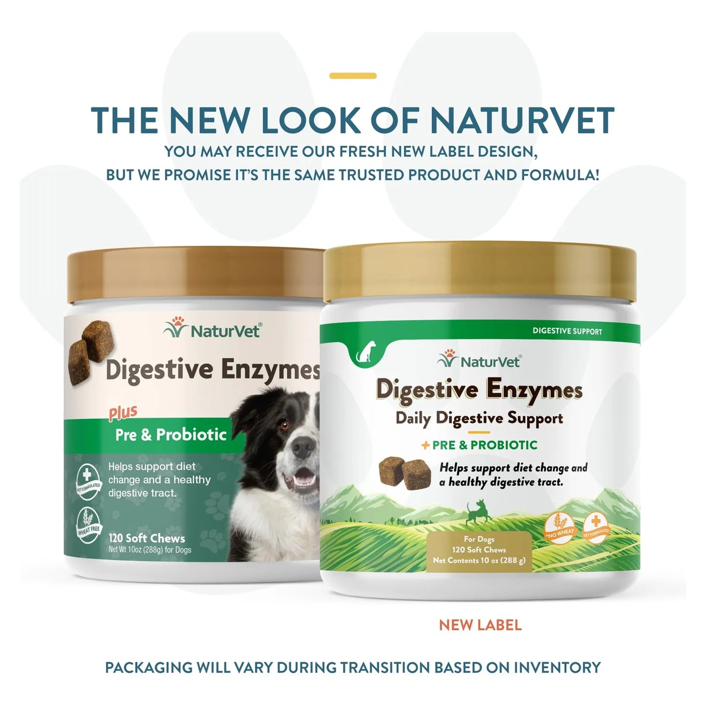 Probiótico Masticable Con Enzimas Digestivas Para Perros 90 Soft Chews Salud Digestiva