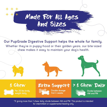 Masticables Digestivos Para Perros Con Prebióticos Probióticos Enzimas Y Antioxidantes