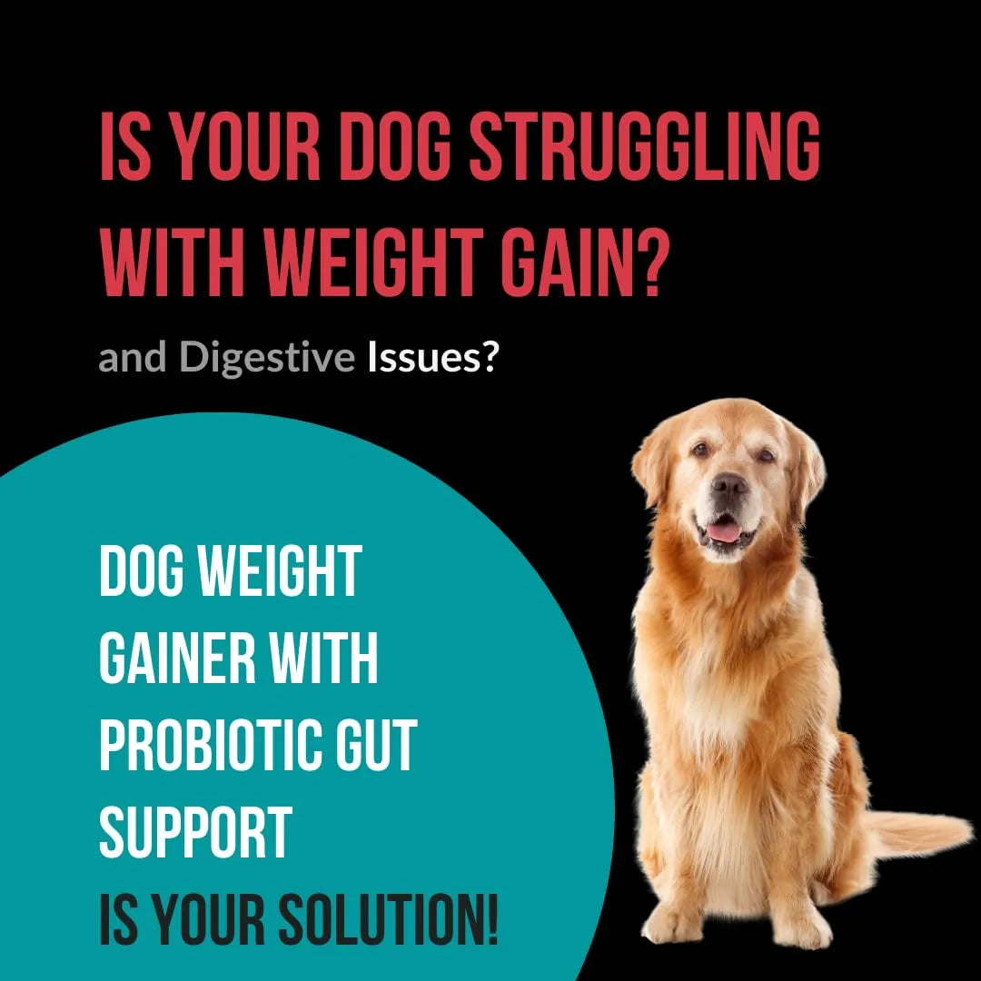 Ganador De Peso Para Perros Con Probióticos Soporte Intestinal Suplemento Proteico