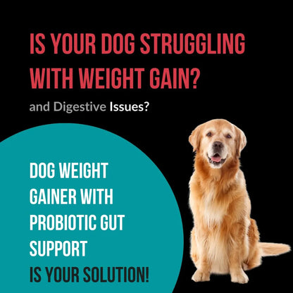 Ganador De Peso Para Perros Con Probióticos Soporte Intestinal Suplemento Proteico