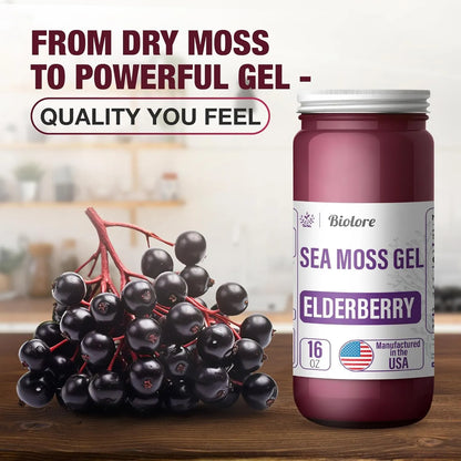 Gel De Musgo Marino Sauco 16 Onzas Superalimento Vegano Nutricion Integral