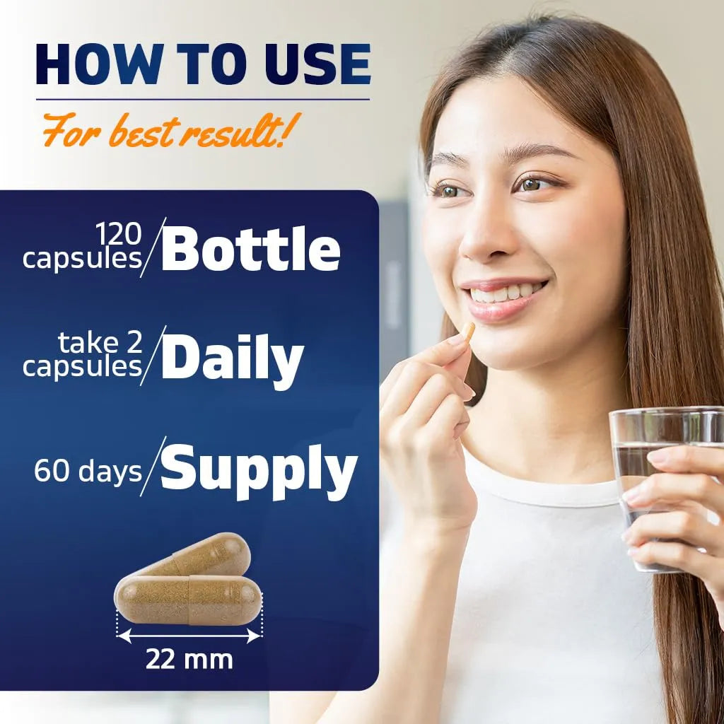 Extracto Andrographis 1000 Mg 120 Cápsulas Vegetales 20 Veces Más Potente