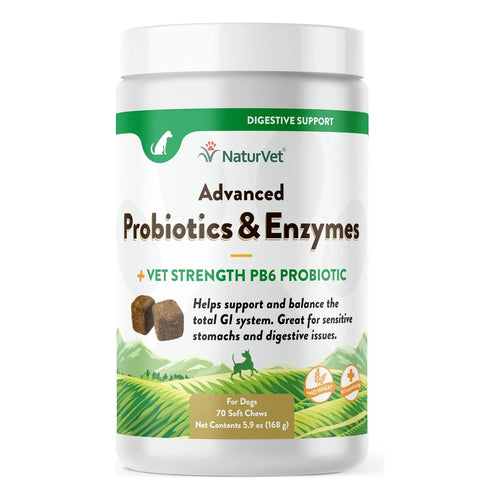 Probióticos Y Enzimas Masticables Para Perros Mejora Digestión Y Salud Intestinal