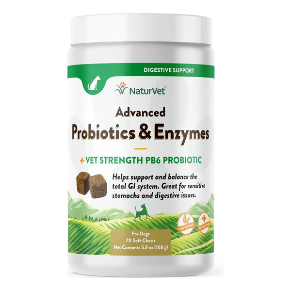 Probióticos Y Enzimas Masticables Para Perros Mejora Digestión Y Salud Intestinal