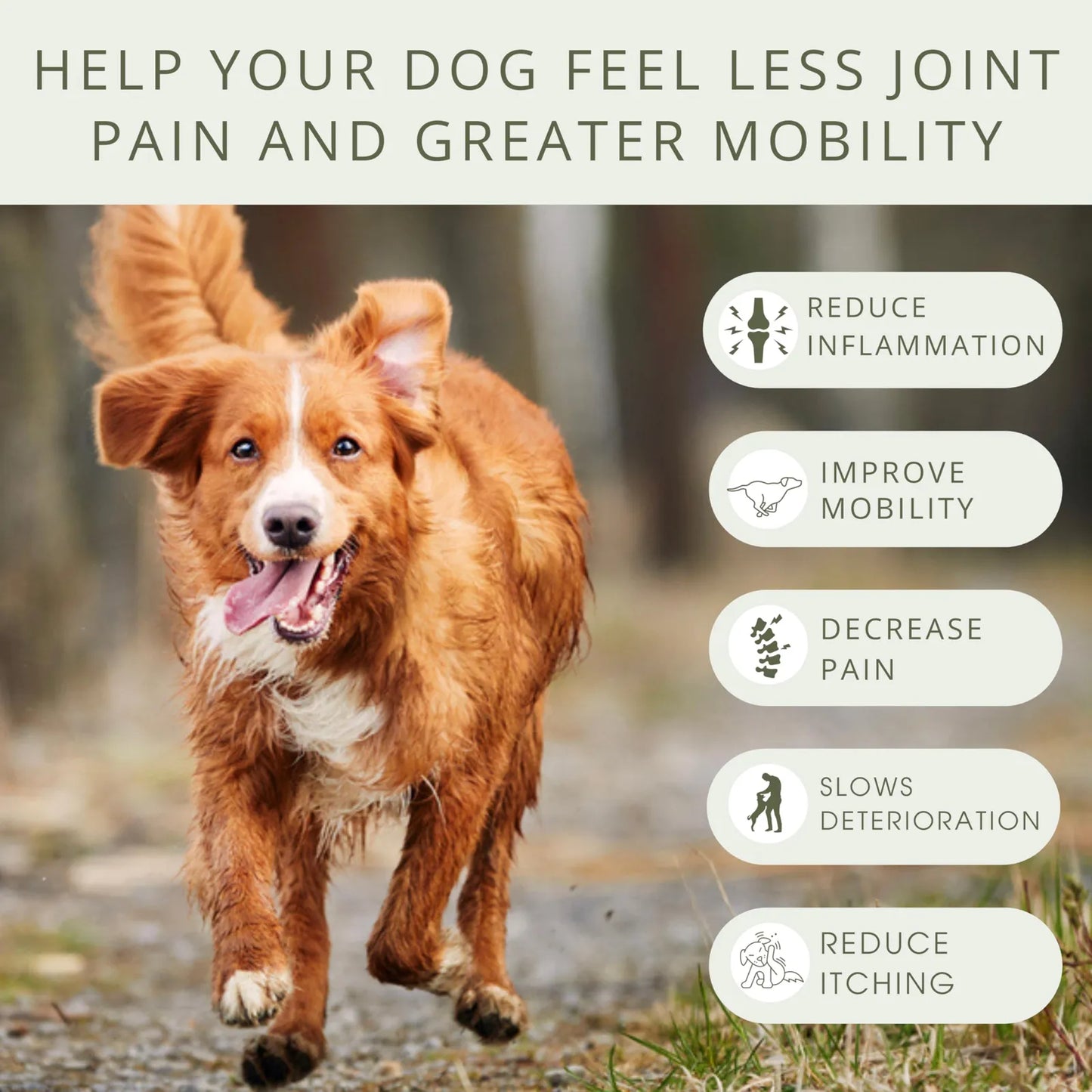 Masticables Suaves Para Perros Cadera Y Articulaciones Con Glucosamina Y Condroitina