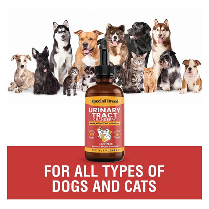 Tratamiento Infecciones Urinarias Gatos Perros Arándano Special Breed 4 Onzas