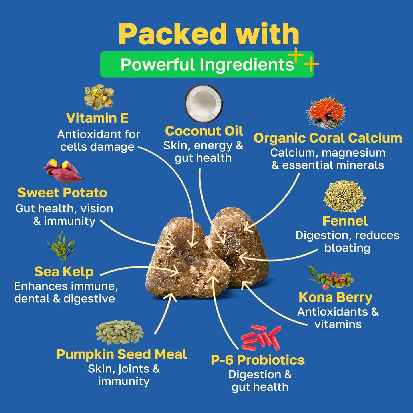 Masticables Probióticos Para Perros Salud Intestinal Sabor Pollo Vegano