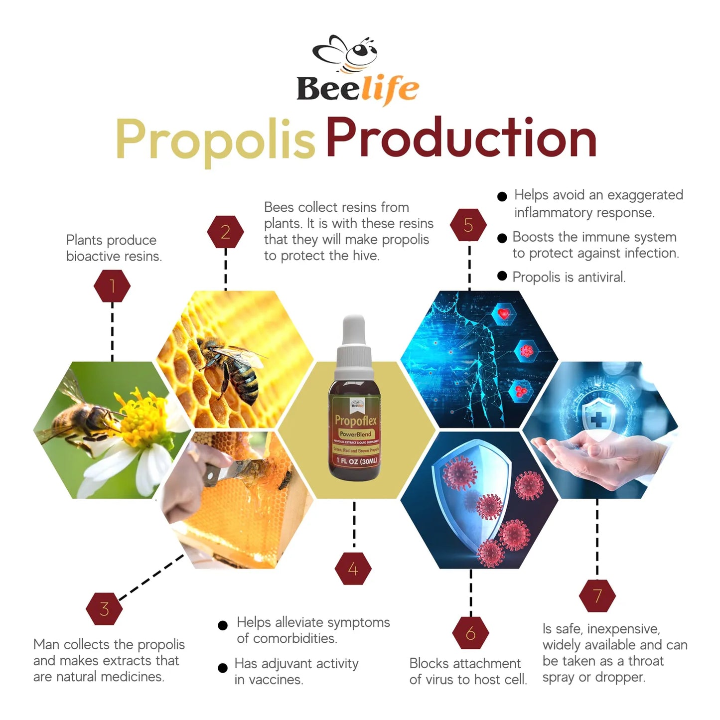 Extracto Puro De Propóleos Mezcla De Energía Tintura De Propóleo Verde Rojo Y Marrón 100 Natural