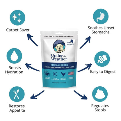 Alimento Para Perros Enfermos Bland Diet Con Electrolitos Liofilizado Pack De 6