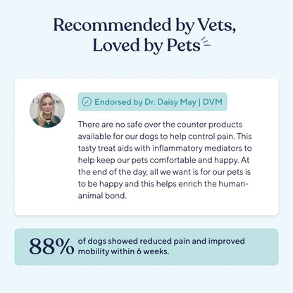 Suplemento Articular Para Perros Con Omega 3 Y Vitaminas Alivia Dolor Y Rigidez