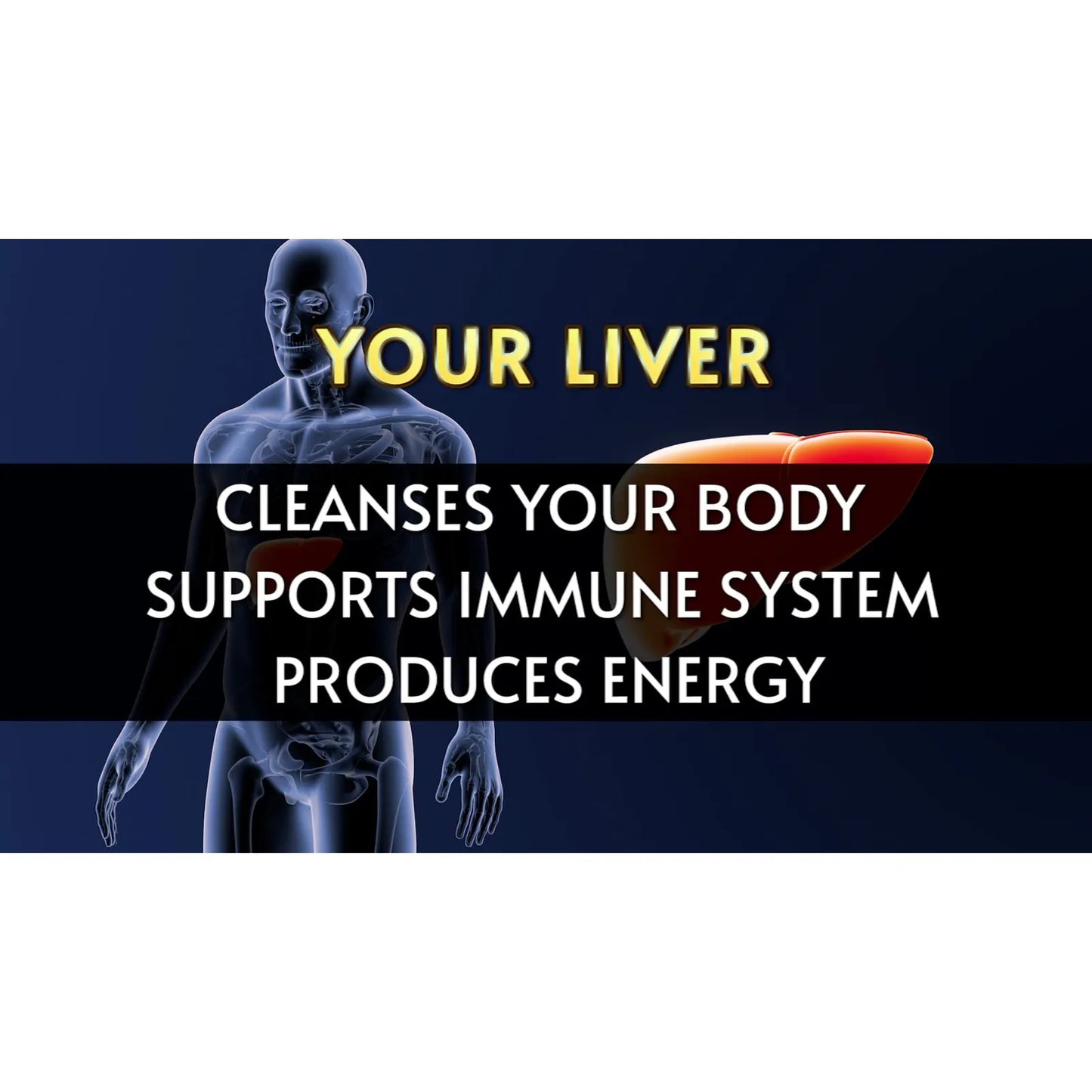 Liver Aid Con Cardo Mariano 150 Cápsulas Soporte Hepático Y Energía