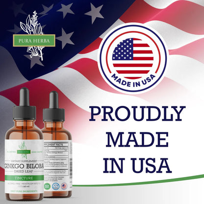 Extracto Líquido De Ginkgo Biloba 60ml Soporte Cerebral y Memoria Vegano Sin Alcohol