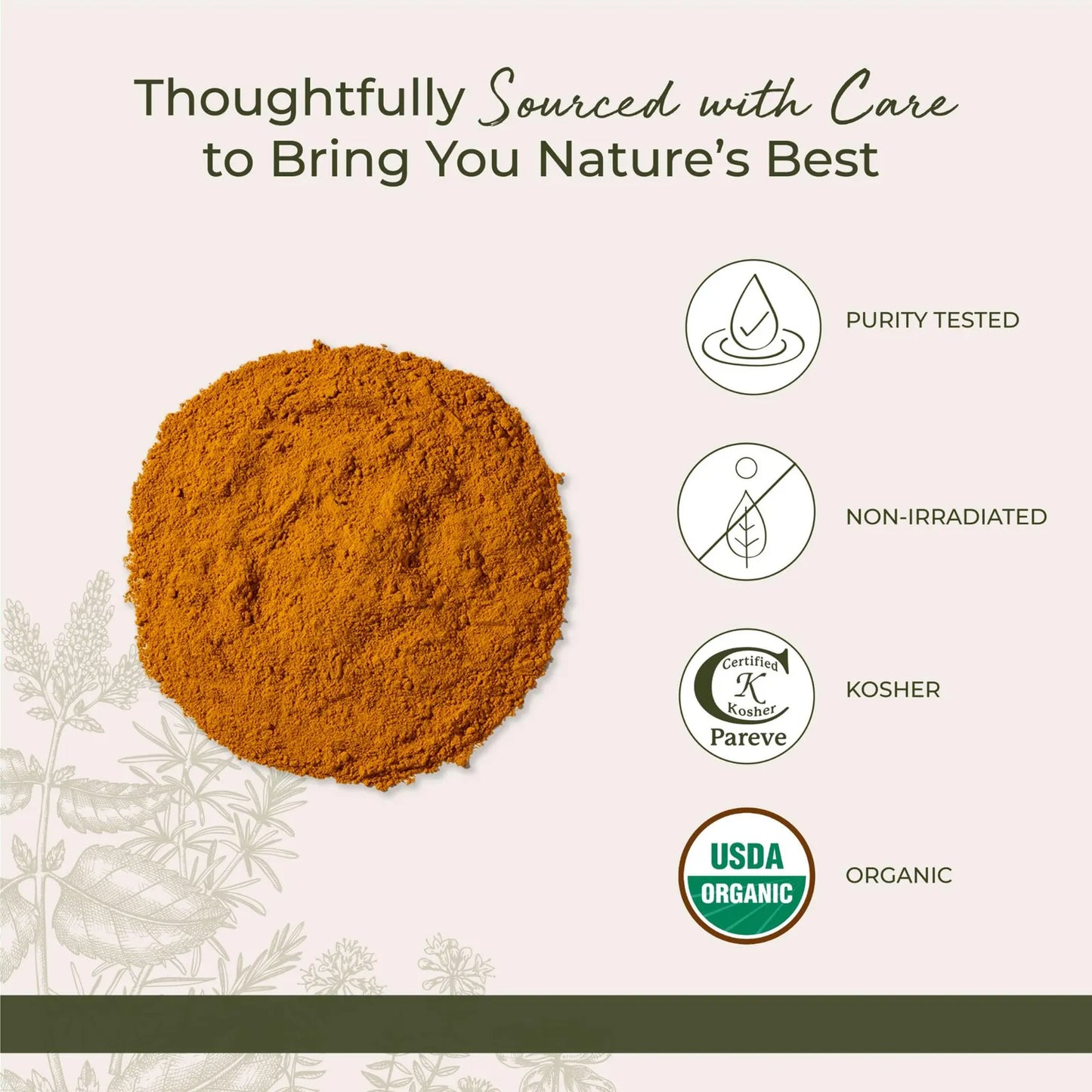 Polvo Organico De Raiz De Curcuma 100 Gramos Antioxidante Natural