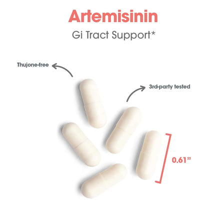 Artemisinina Pura 100 Mg Capsulas Vegetarianas Apoyo Gastrointestinal Hipoalergenico