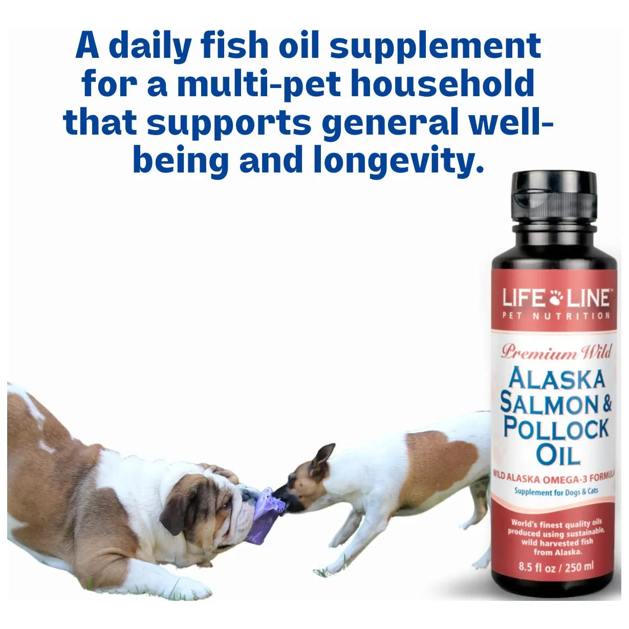 Aceite De Pescado Omega 3 Wild Alaska 26oz Para Perros Gatos Caballos Pelaje Brillante Y Articulaciones Fuertes