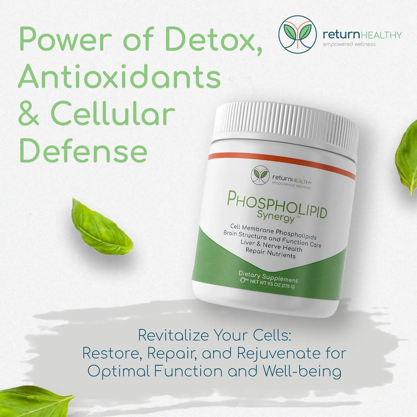 Polvo Antioxidante Reparacion Celular Memoria Concentracion Fosfolipidos Sinergia