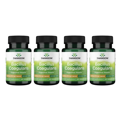 Bacillus Coagulans 6 Mil Millones UFC Probiótico Premium Para Salud Intestinal 60 Cápsulas