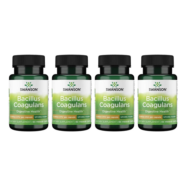 Bacillus Coagulans 6 Mil Millones UFC Probiótico Premium Para Salud Intestinal 60 Cápsulas