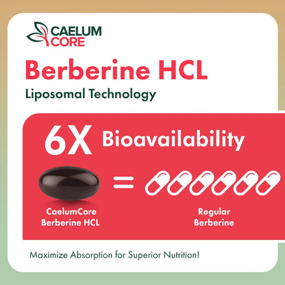 Berberina Liposomal HCL 1500mg Activa AMPK GLP1 Alta Biodisponibilidad Suplemento Salud