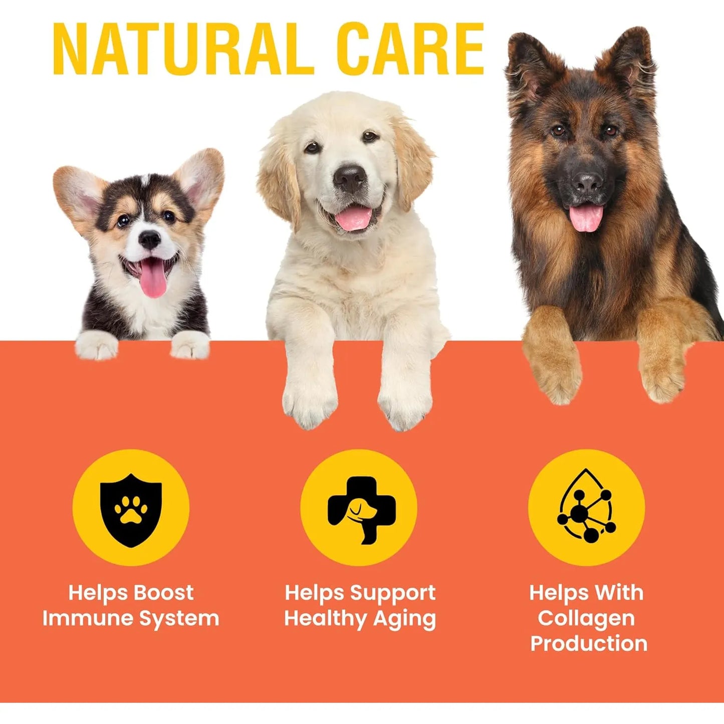 Vitamina C Liquida Para Perros Sabor Tocino Refuerzo Inmunologico 2 Onzas