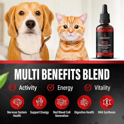 Líquido Metilcobalamina B12 Para Perros Y Gatos Vitamina Líquida Importada