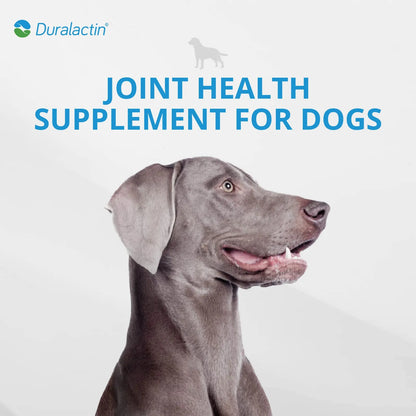 Duralactin Canine Joint Plus Suplemento Articular Para Perros Sabor Hígado 60 Unidades