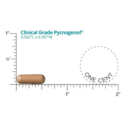 Pycnogenol Grado Clinico 60 Capsulas Antioxidante Salud Integral