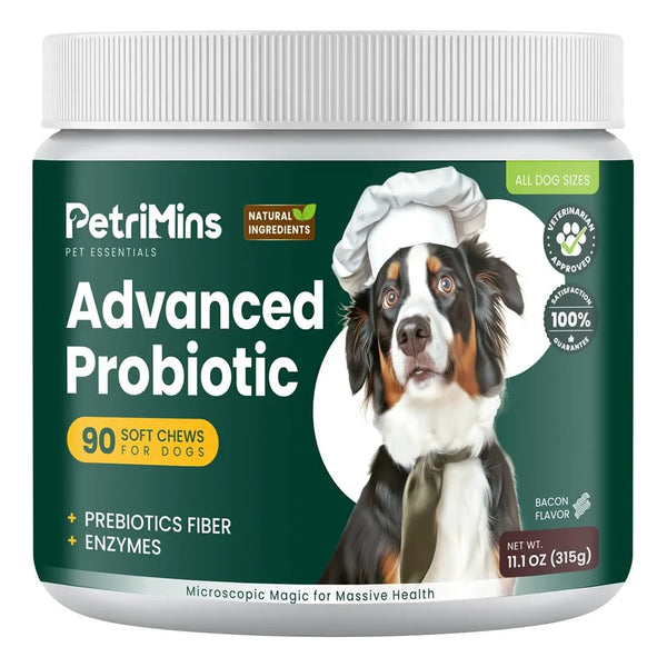 Probiótico Avanzado Para Perros Mezcla De Seis Cepas Salud Digestiva E Inmunológica