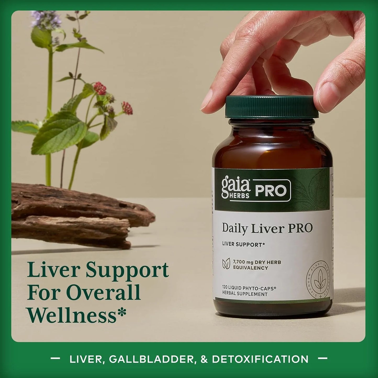 Gaia Herbs Pro Daily Liver Pro Suplemento Hepatico Natural 120 Capsulas