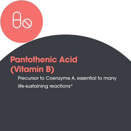 Ácido Pantoténico 500mg 90 Cápsulas Energía Metabolismo Vitamina B5