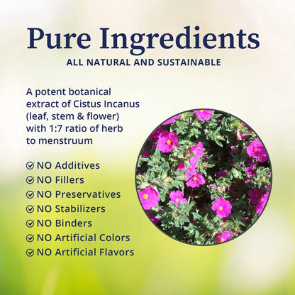 Extracto De Cistus Incanus Tintura Organica Antioxidante 4 Oz Refuerza Sistema Inmunologico