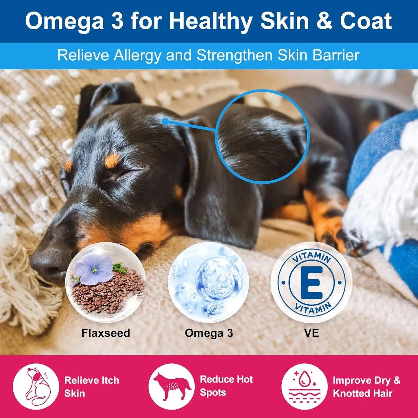 Vitaminas En Polvo Para Perros Probióticos Enzimas Digestivas Salud Articulaciones Piel