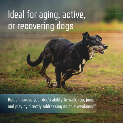URSOLYX Masticables Suaves Para Perros Apoyo Salud Muscular 60 Unidades