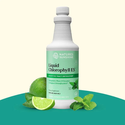Clorofila Líquida Natures Sunshine 473ml Desintoxicante Energía Natural