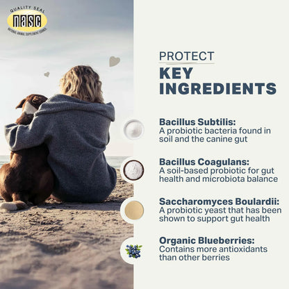 Probióticos Para Perros Con Prebióticos Antioxidantes Desintoxicación Salud Intestinal Four Leaf Rover Protect