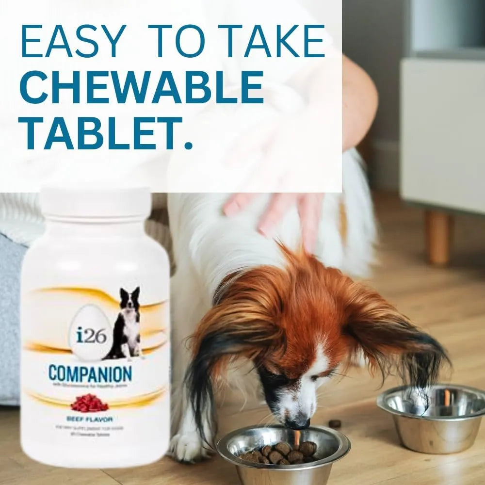 Nutricion Masticable Para Perros I26 Cachorros Y Adultos 60 Tabletas Sabor Carne