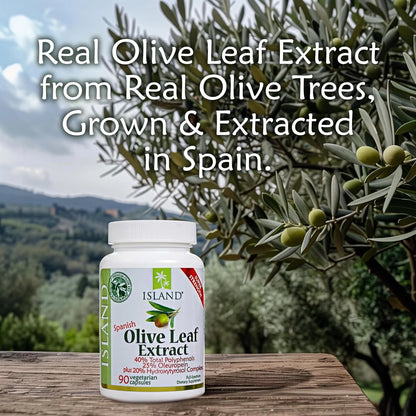 Extracto Hoja De Olivo Europeo 25 Oleuropein 90 Capsulas Island Nutrition
