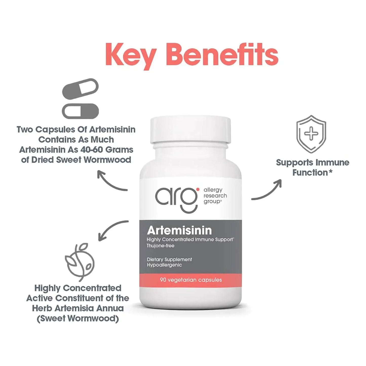 Artemisinina Pura 100 Mg Capsulas Vegetarianas Apoyo Gastrointestinal Hipoalergenico