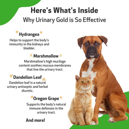 Suplemento Urinario Pet Wellbeing Para Perros Y Gatos Salud Vejiga Y Tracto Urinario